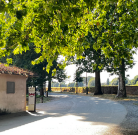 mura-ToscanaLucca-pro-1-.png